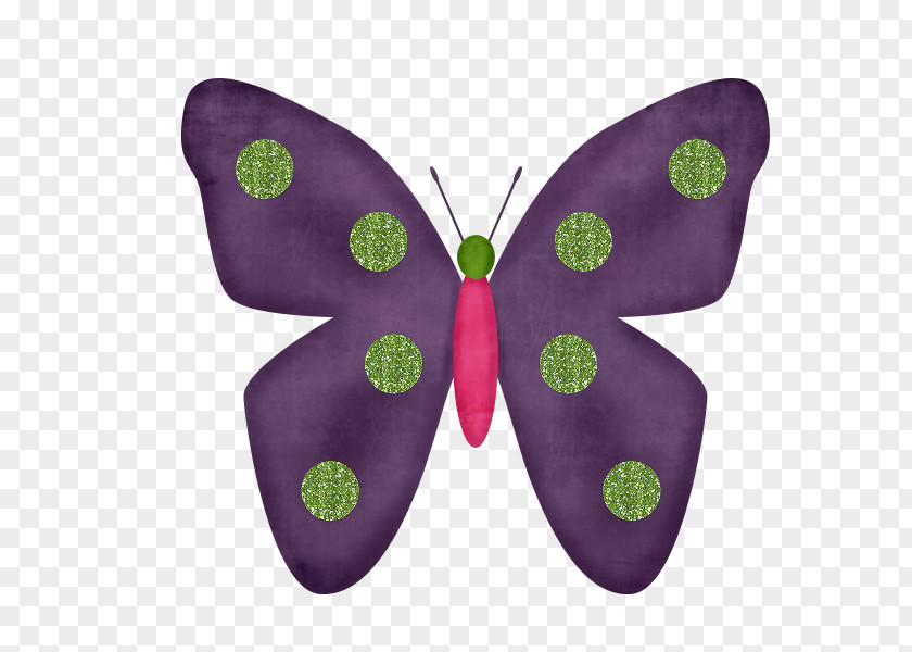Butterfly Moth Paper PNG