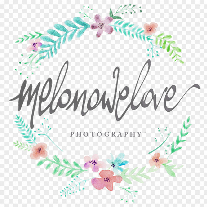 Design Logo Petal Floral Font PNG