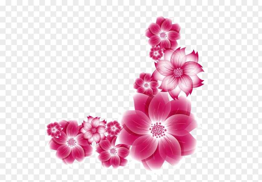 Flowers Floral Design Flower Petal PNG