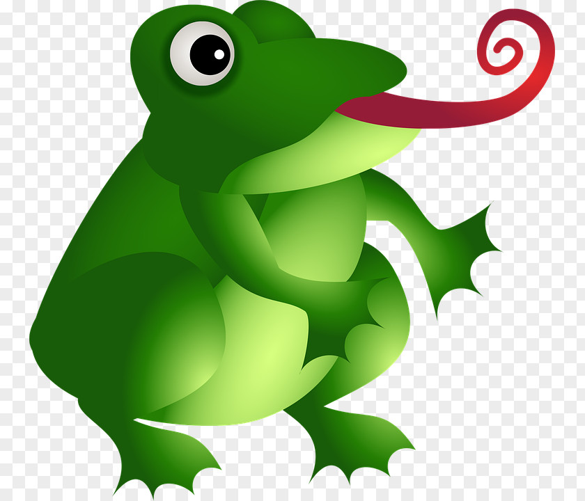 Frog Amazon.com Amphibian PNG