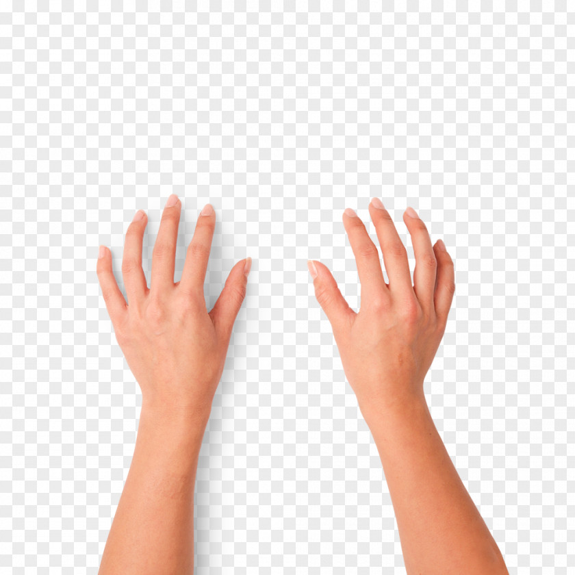 Hands Typing Download Computer File PNG