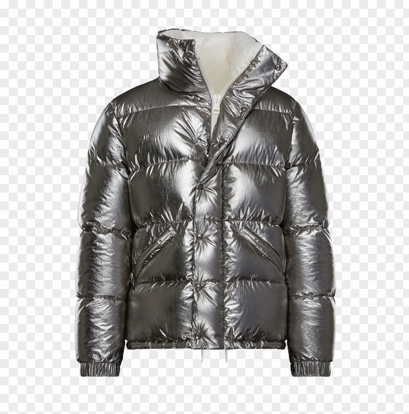 Jacket Moncler Down Feather Harbour City Silver PNG