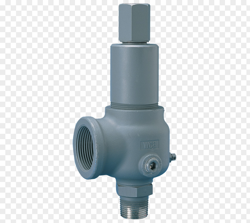 Relief Valve Safety ASME National Board Of Boiler And Pressure Vessel Inspectors PNG