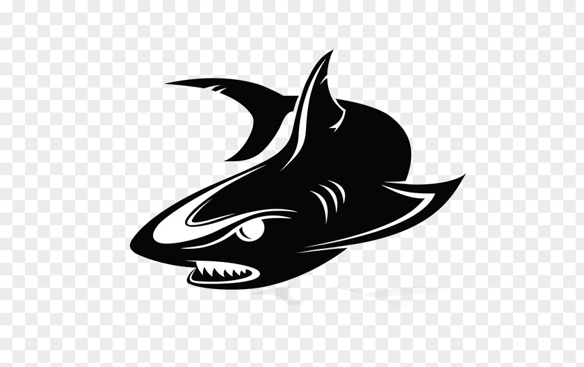 Shark Logo Clip Art PNG
