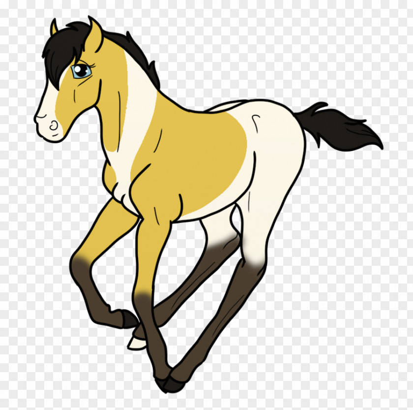 Spirit Stallion Of The Cimarron Esperanza Mustang Foal Halter Clip Art PNG