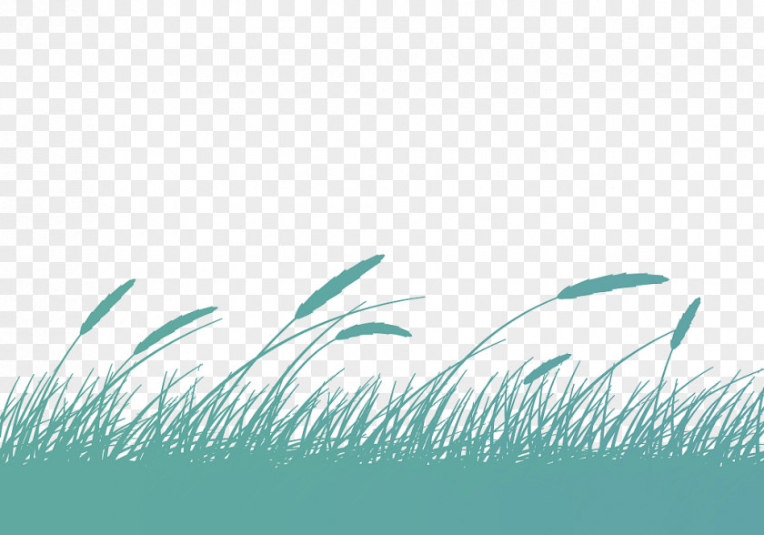 Vector Illustrations, Fresh Breeze Blowing Wheat Drawing Cartoon Illustration PNG