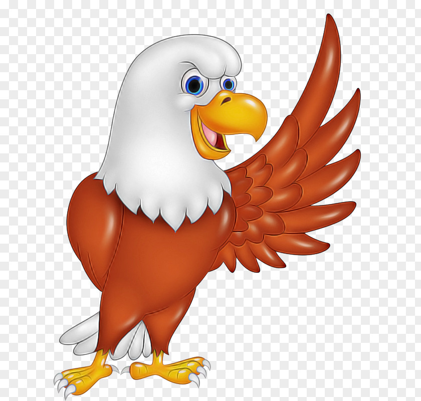 Animal Figure Cartoon Bird Bald Eagle Beak Accipitridae PNG