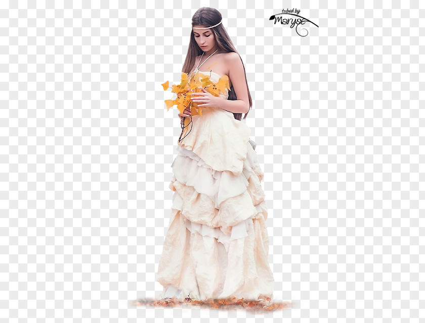 Autumn Woman Psp Tubes PaintShop Pro Wedding Dress PNG