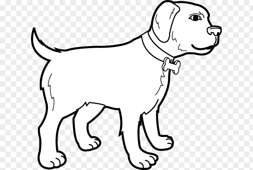 Bone Dog Pet Puppy Animal Mammal PNG