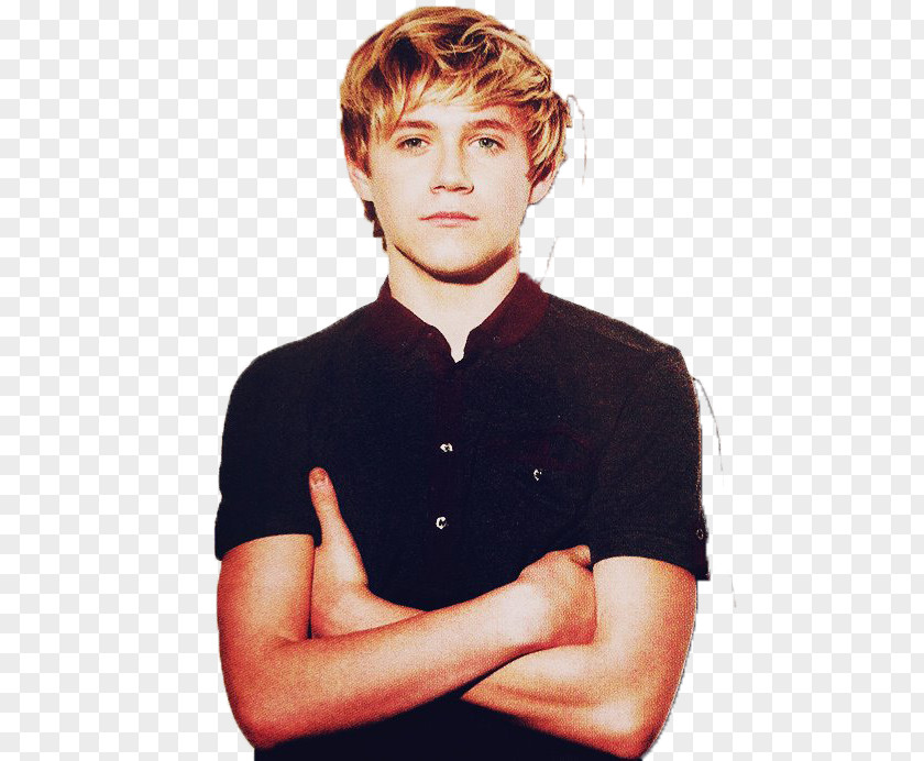 Chili Block Niall Horan One Direction The X Factor Boy Band PNG