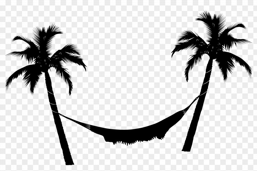 Coconut Tree Hammock Arecaceae Clip Art PNG