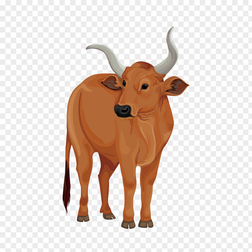 Cute Yak Domestic Illustration Wild Animation Cartoon PNG