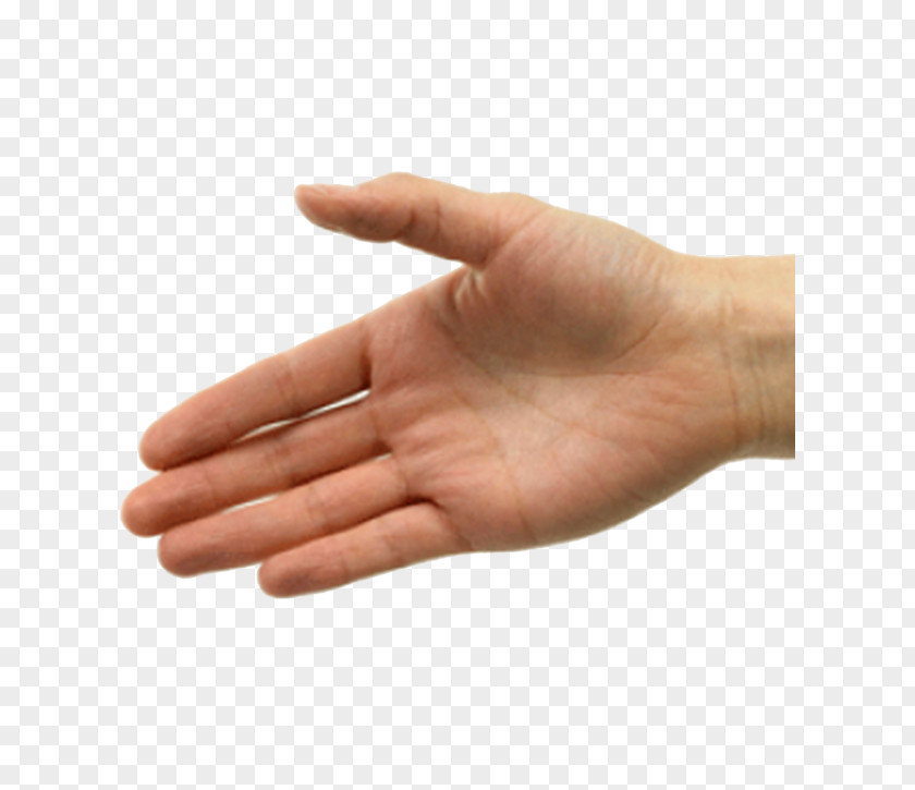 Hand Handshake Etiquette Clip Art PNG