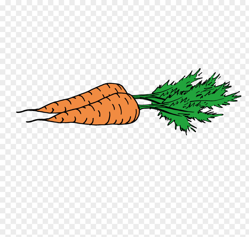 Hand-painted Carrot PNG