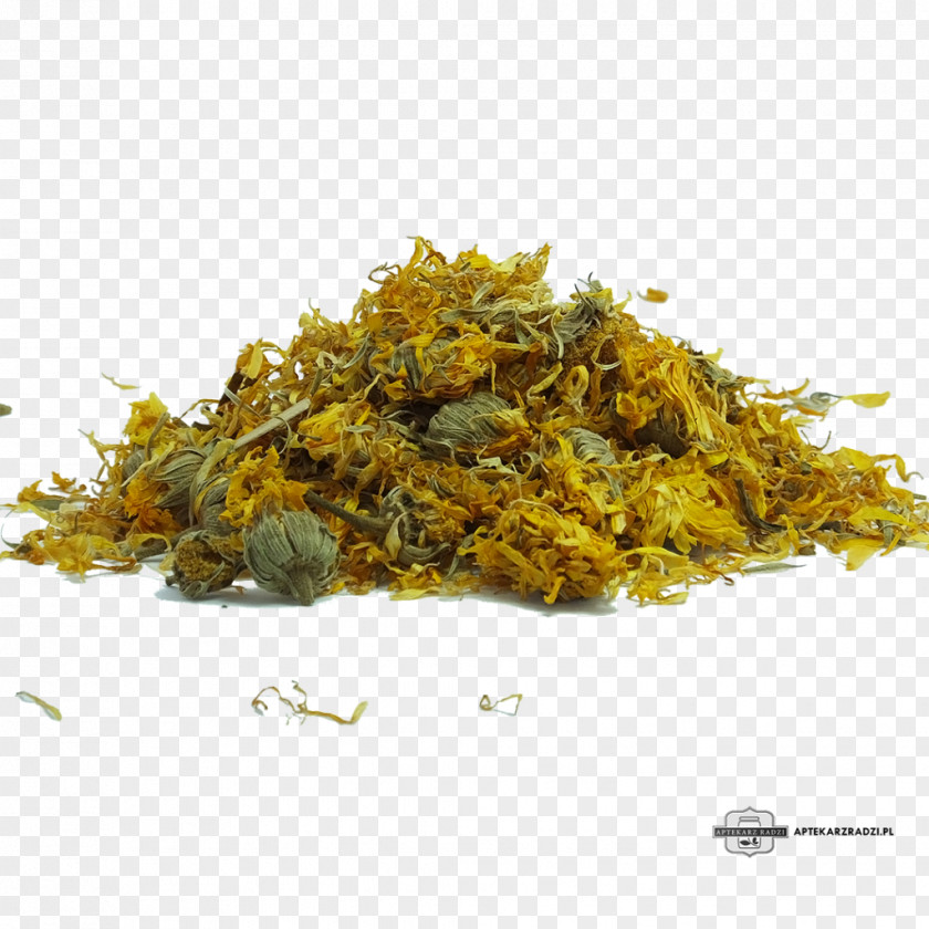 Marigold Tea Calendula Officinalis Herbalism Therapy PNG