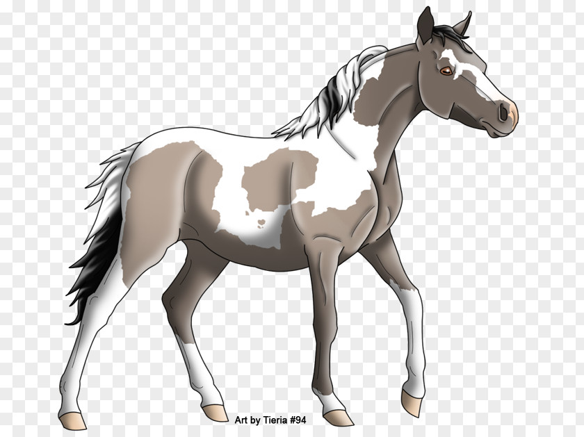Mustang Mule Foal Stallion Colt Mare PNG