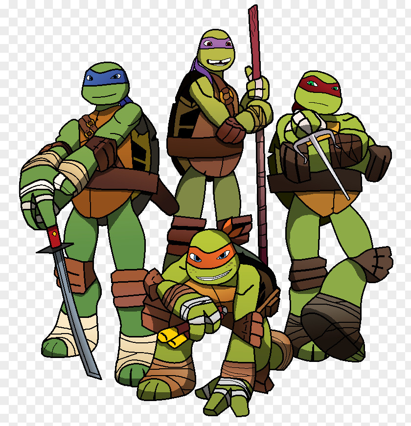 Neff Shinobi Crystal Leonardo Raphael Karai Michaelangelo Teenage Mutant Ninja Turtles PNG
