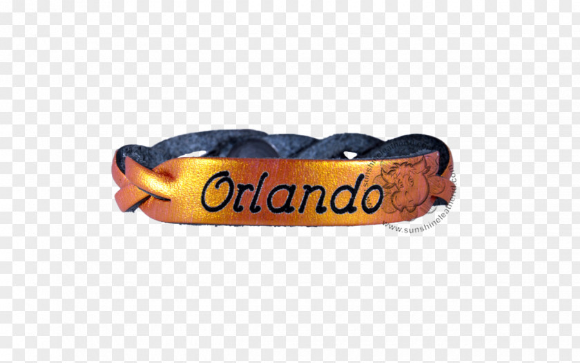 Personalized Summer Discount Bracelet Dog Collar Gold PNG