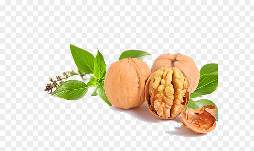 Walnut Vegetarian Cuisine Food PNG