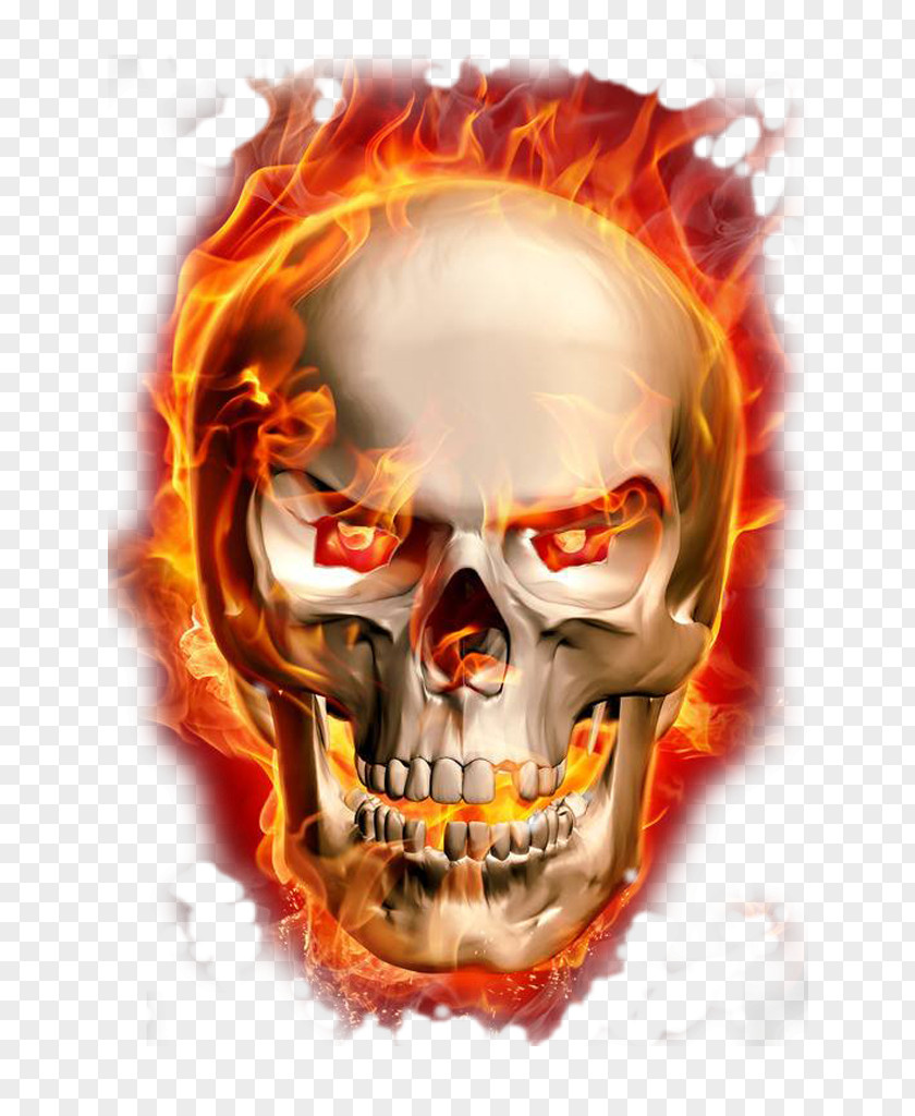 Burning Skeleton PNG