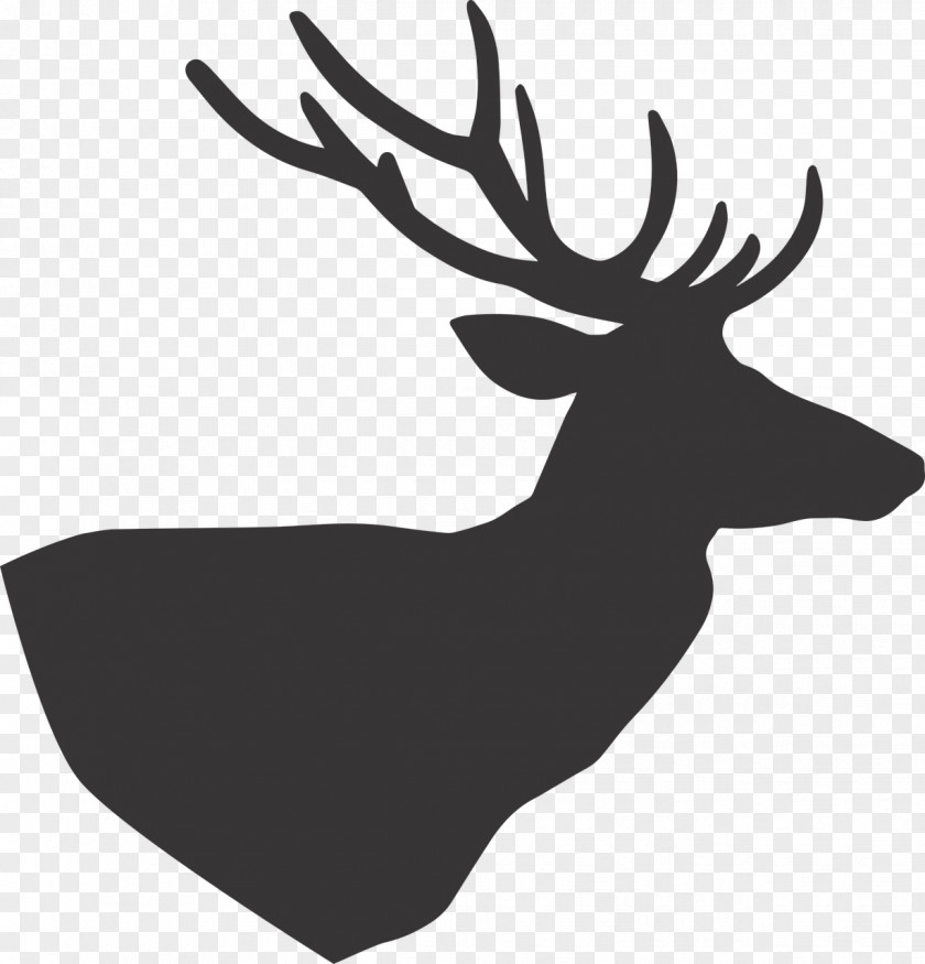 Deer Hunting PNG