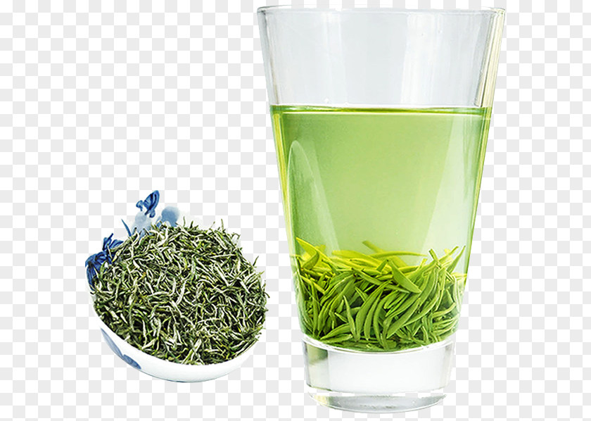 Healthy Green Tea Xinyang Maojian Biluochun PNG