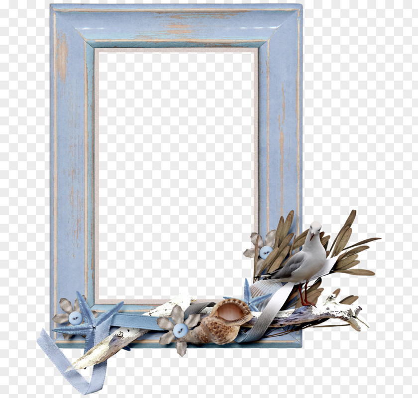 NAUTICA Picture Frames Photography PNG