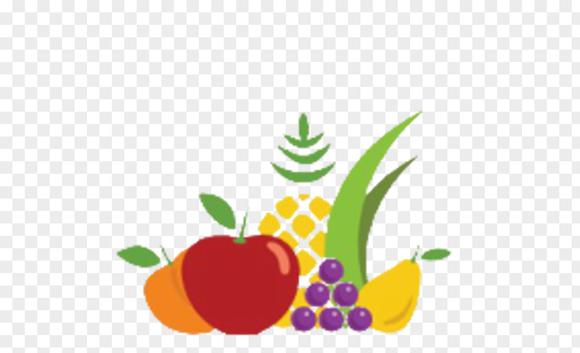 Nutrition Smoothie Juice Fruit Vegetable PNG