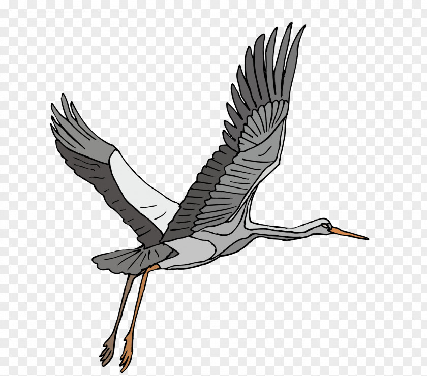 Vector Material Red-crowned Crane To Take Off Sandhill Bird Heron Clip Art PNG