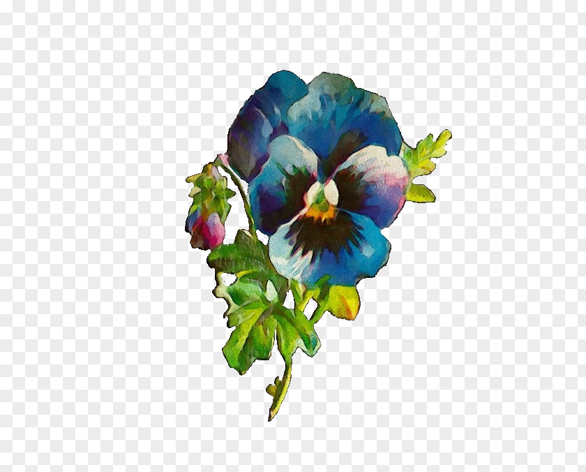 Wildflower Bouquet Flower Plant Violet Pansy Petal PNG