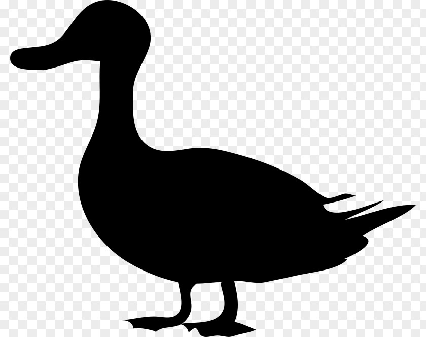 Duck Mallard Goose Silhouette Clip Art PNG
