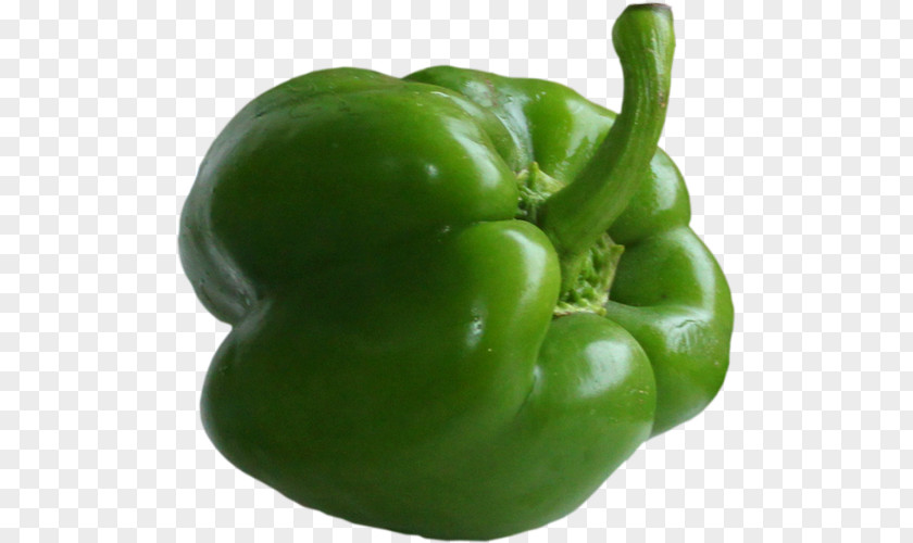 Green Chili Bell Pepper Con Carne Clip Art PNG