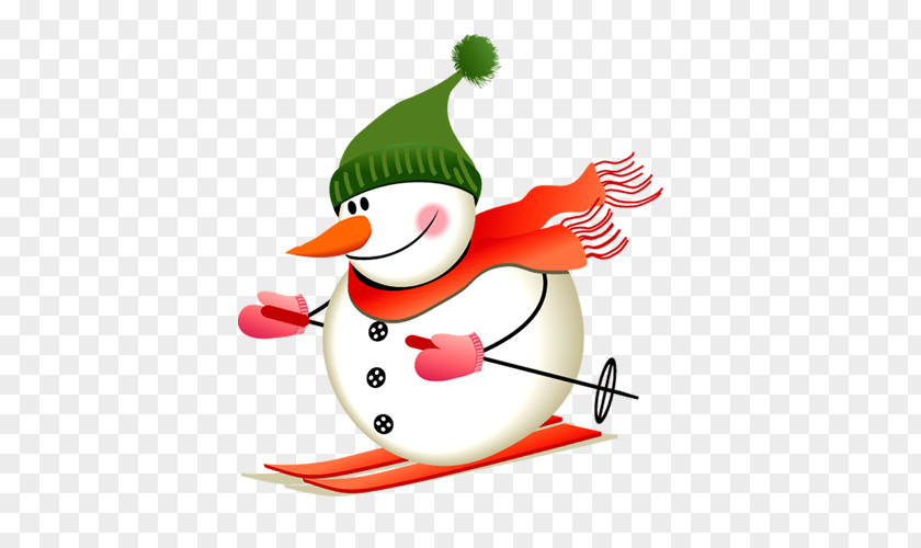 Ski Skiing Snowman PNG