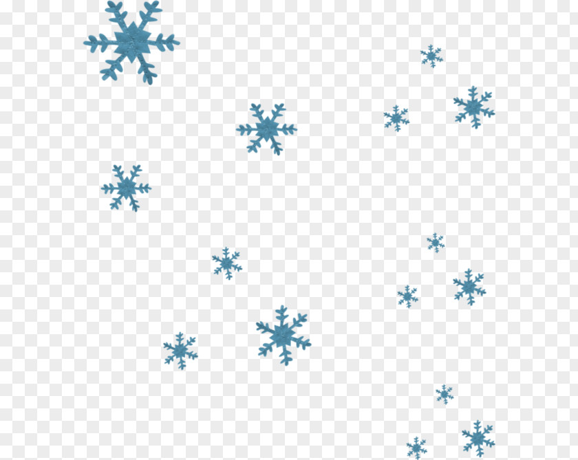 Snowflake Winter Pattern PNG