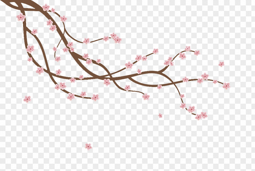 Cherry Blossom Bud Branch Illustration PNG
