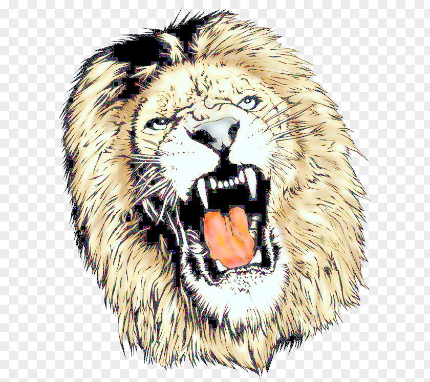 Clipart Lion Head Download Tiger Cat Roar Animal PNG