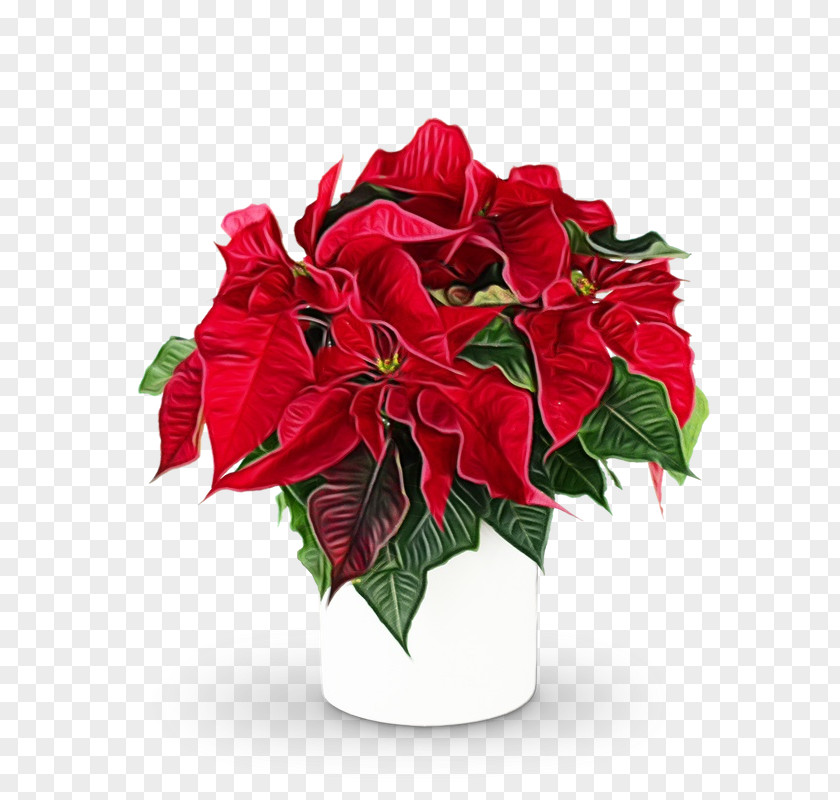 Floral Design PNG