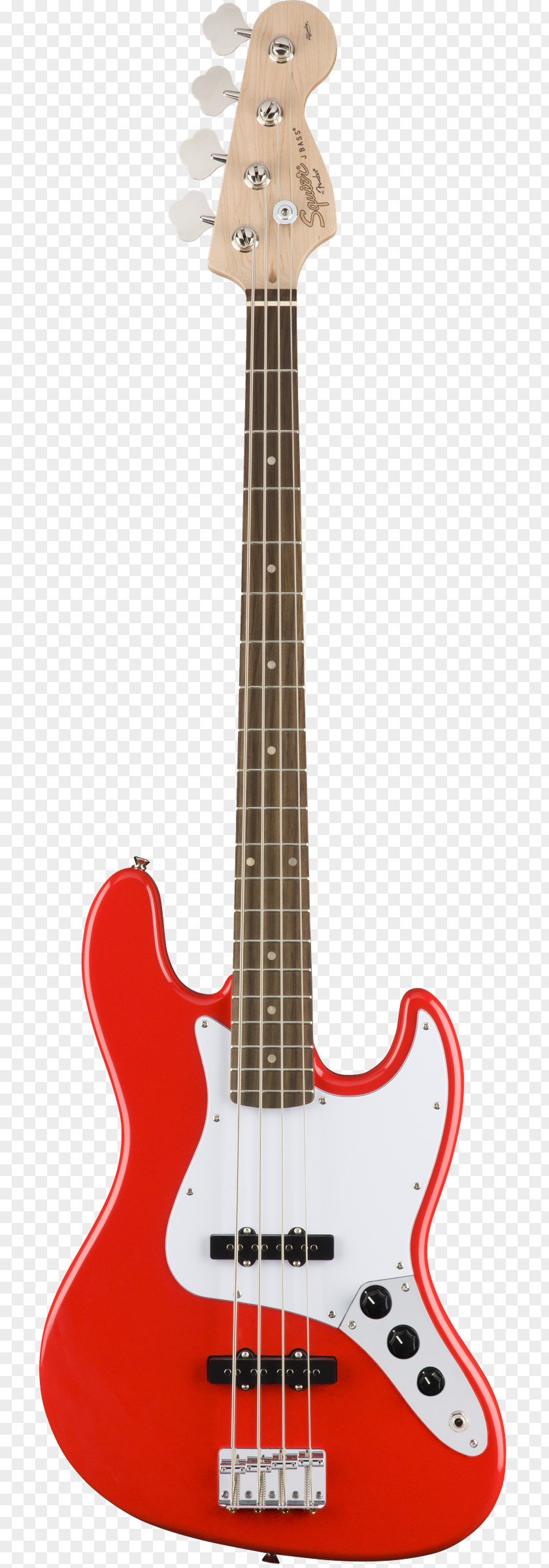 Guitar Fender Precision Bass Stratocaster Jaguar Jazz Squier PNG