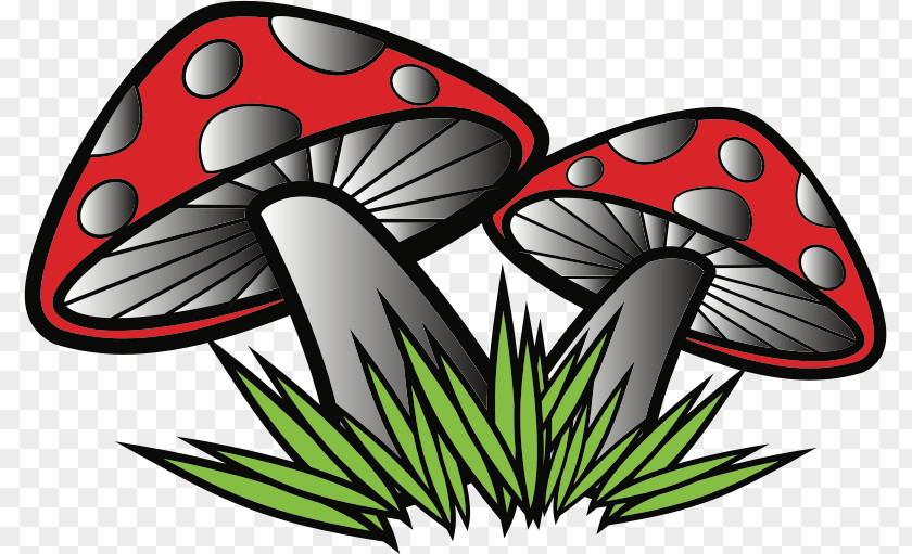 Small Mushrooms Clip Art PNG