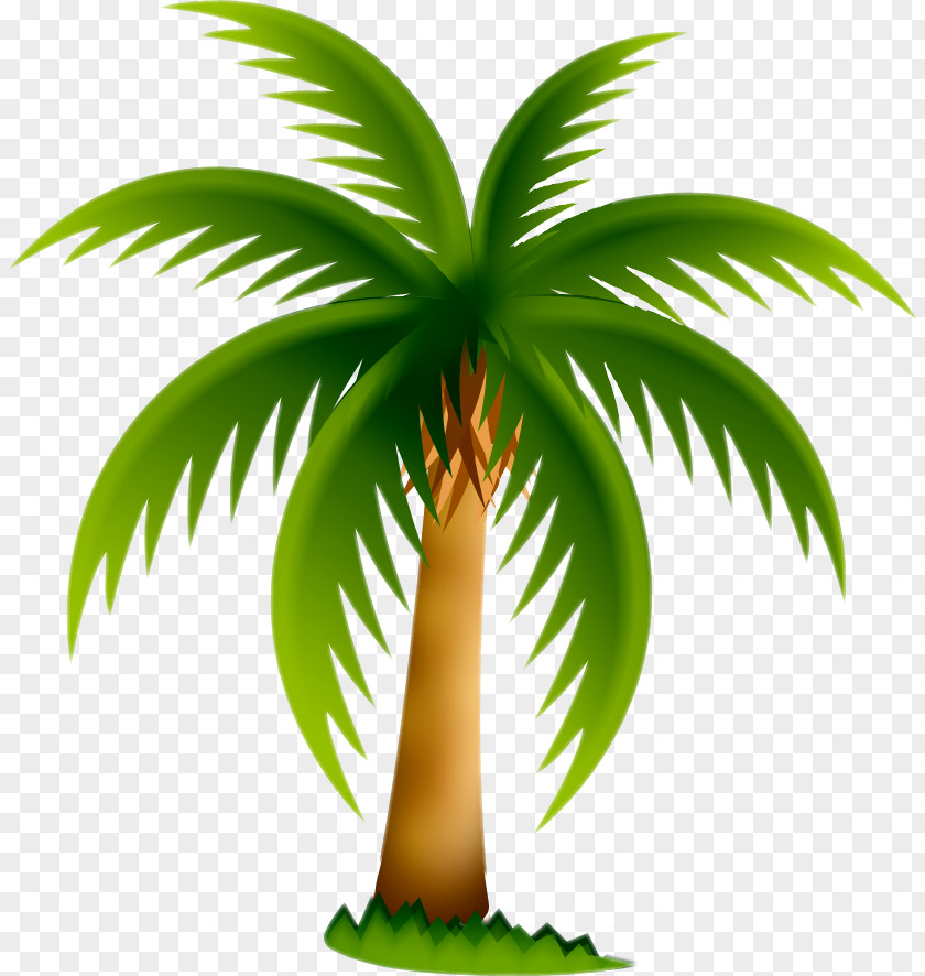 Date Palm Arecaceae Tree Clip Art PNG