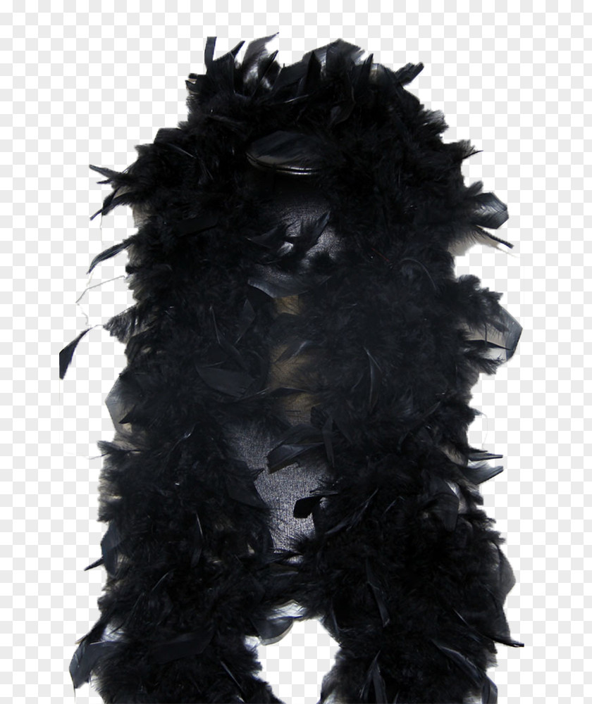 Feather Boa PNG
