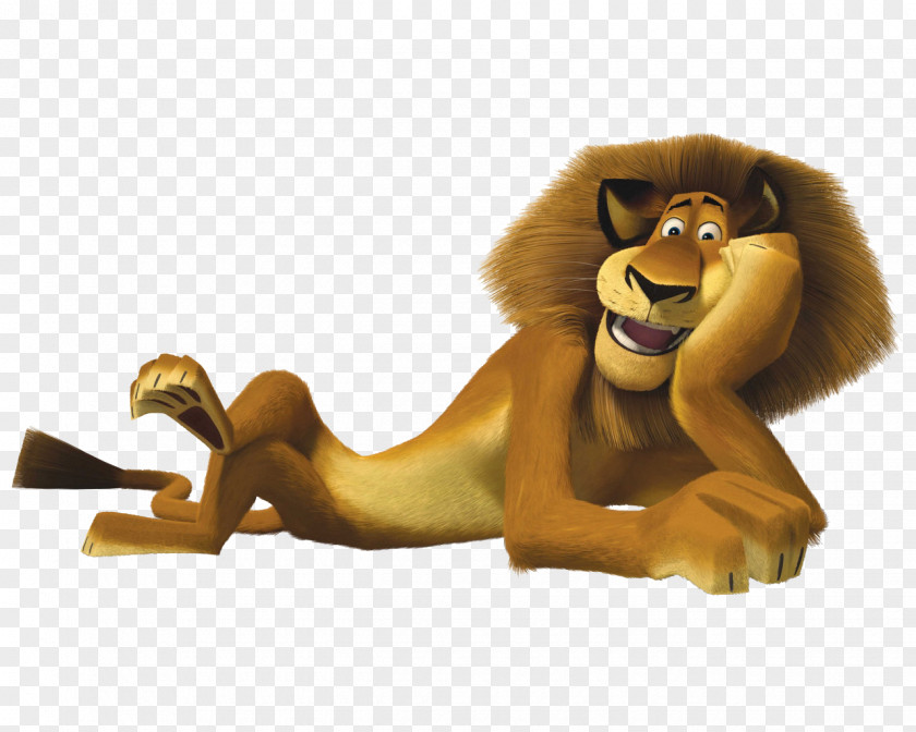 Lion Cartoon Alex YouTube Marty Melman Madagascar PNG