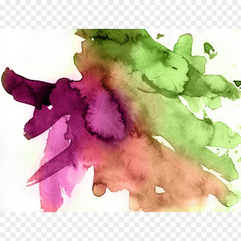 Painting Watercolor Watercolour Flowers Art Pastel PNG