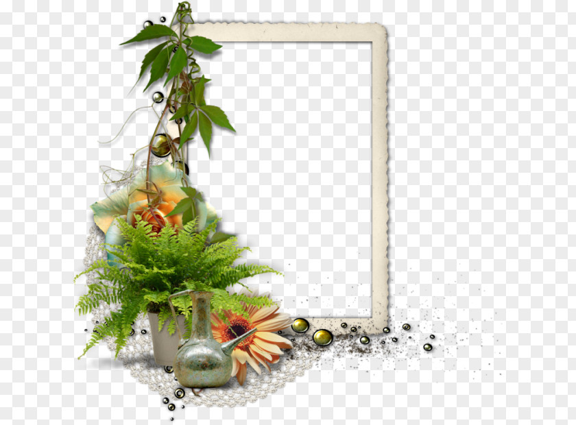 Picture Frames Clip Art PNG