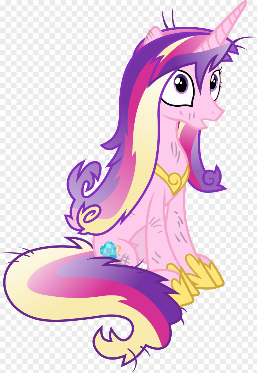Princess Cadance Twilight Sparkle Rarity Pony PNG