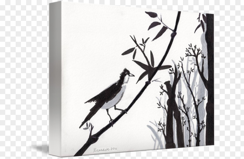 Bird Watercolor Paper Painting Black And White Drawing Canvas Print PNG