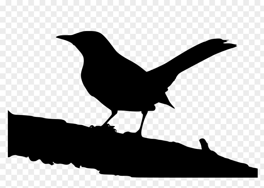 Birds Tree To Kill A Mockingbird Jean Louise 'Scout' Finch Clip Art PNG