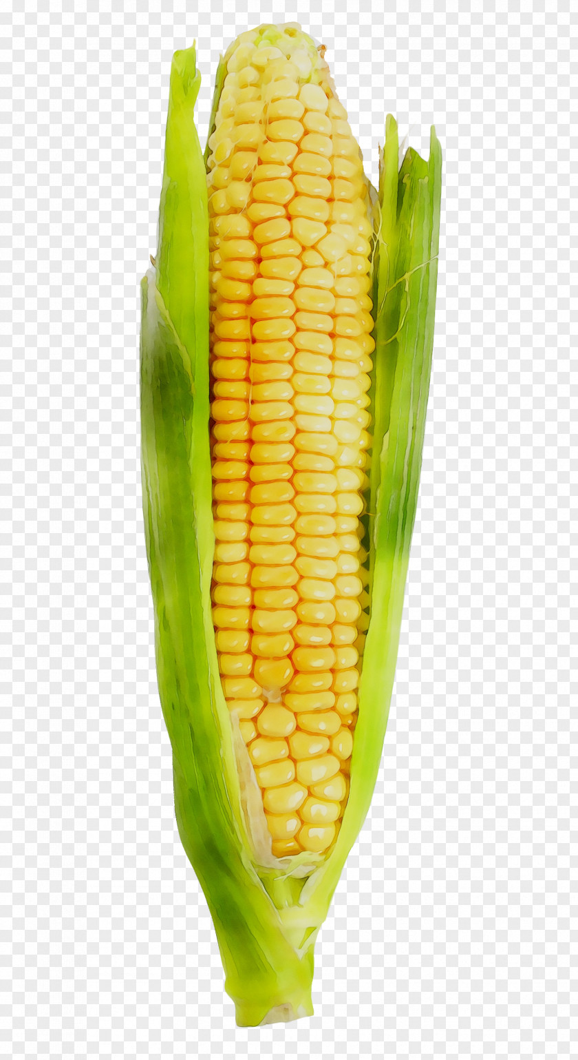 Corn On The Cob Dietary Supplement Sweet Kernel PNG