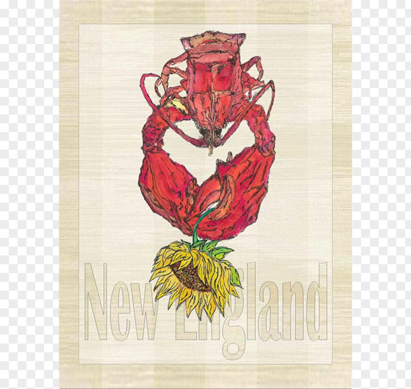 Lobster American Cuisine Of The United States Beach Flower PNG