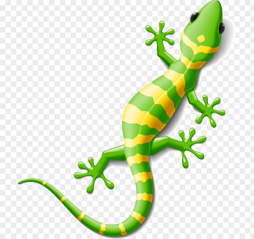 Vector Chameleon PNG